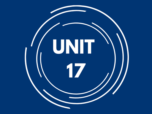 UNIT 17