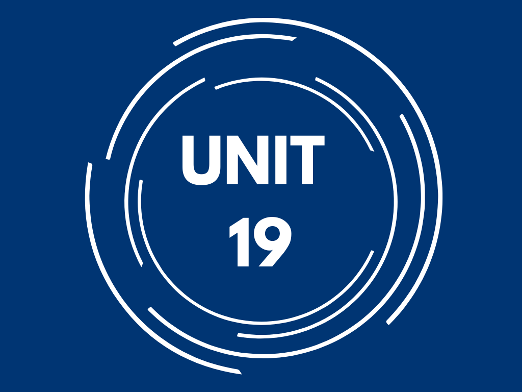 UNIT 19